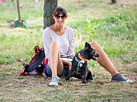 Adoptuj Warszawiaka  Wydarzenie promujące adopcję zwierząt. Organizator: Schronisko dla Bezdomnych Zwierząt "Na Paluchu". 18 sierpnia 2019, Park Raszyński w Raszynie. : park raszyński, adoptuj warszawiaka, na paluchu, schronisko dla zwierząt, centrum warszawy, raszyn